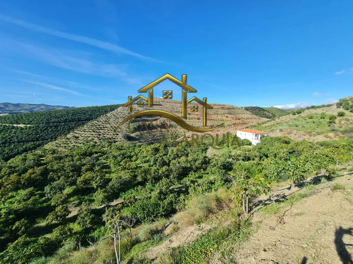 Casa rustica in vendita a Diseminado Atalaya Baja, imagen 40
