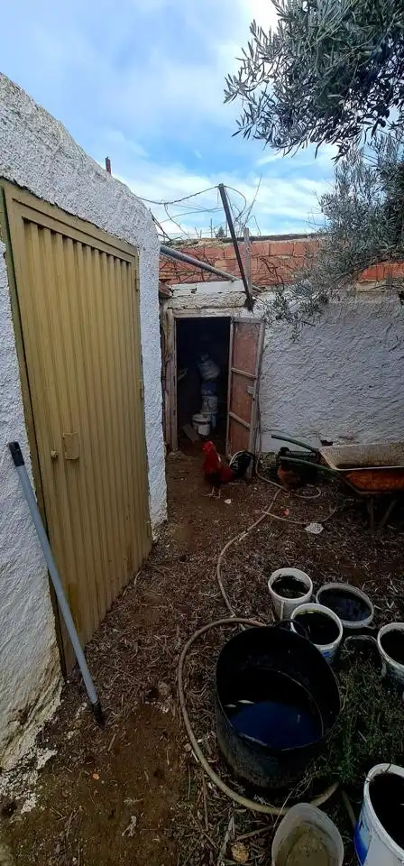 Jardín de Casa o chalet en venta en Benahadux