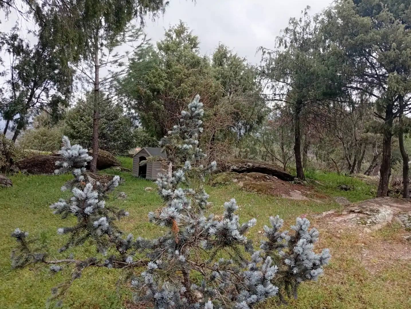 Terreni e lotti in vendita a El Tiemblo, imagen 14
