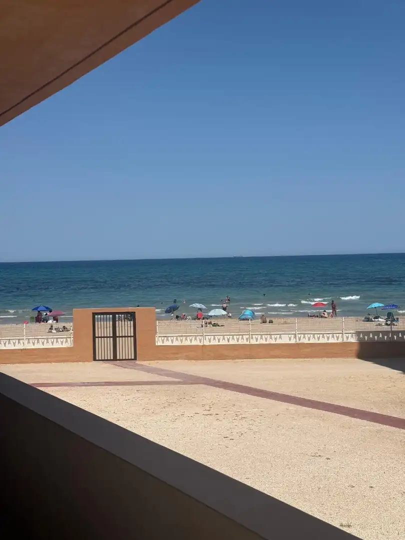 Exterior view of Study for sale in Elche / Elx  with Terrace, Furnished and TV