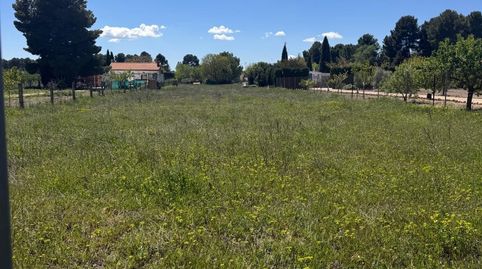 SE VENDE TERRENO EN CAMINO DEL MOLINICO, immagine 4