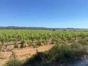 Terreno en venta en L'Arboç