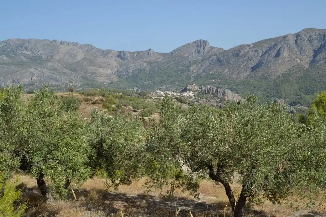 Terrenos y solares en venta en El Castell de Guadalest, imagen 9