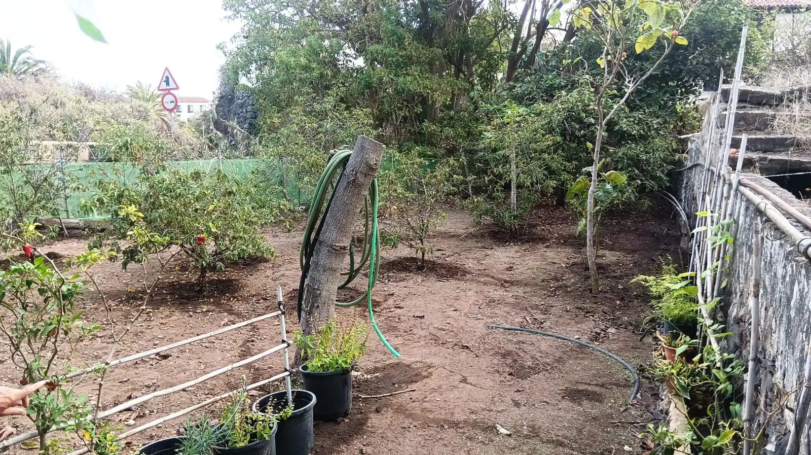 Rural land for sale in Calle Pez, imagen 11
