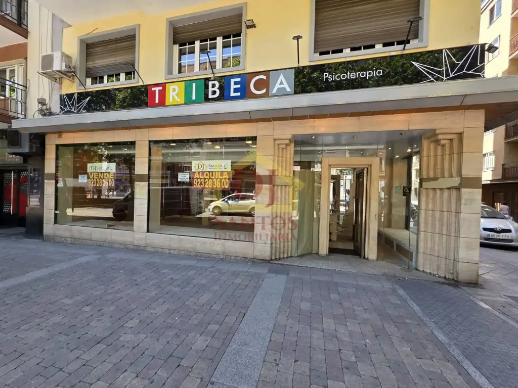 Gewerbefläche zum Verkauf in Avenida de Portugal, imagen 2