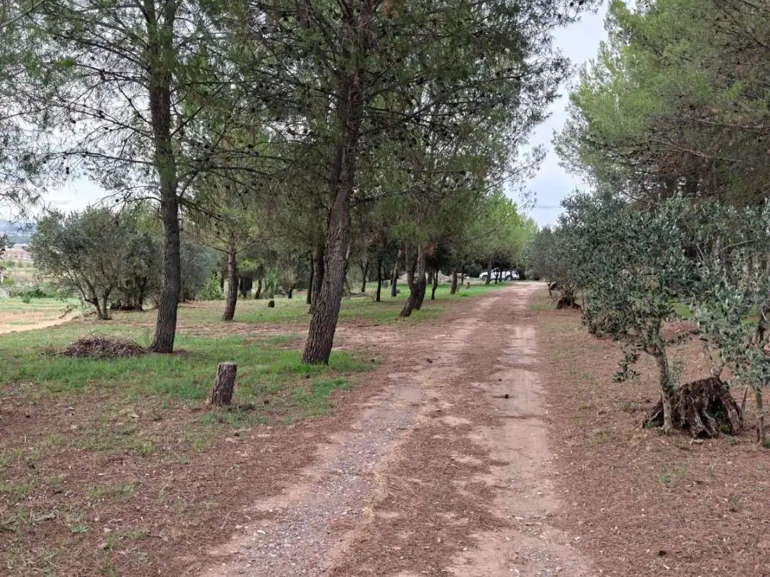 Vista exterior de Terreno en venta en Manresa