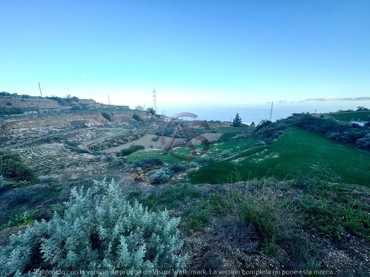 Terreno en venta en Calle Pino Gordo, Fasnia
