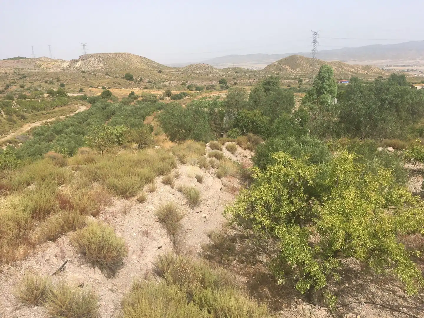 Country house zum Verkauf in Lorca mit Privatgarten und Schwimmbad