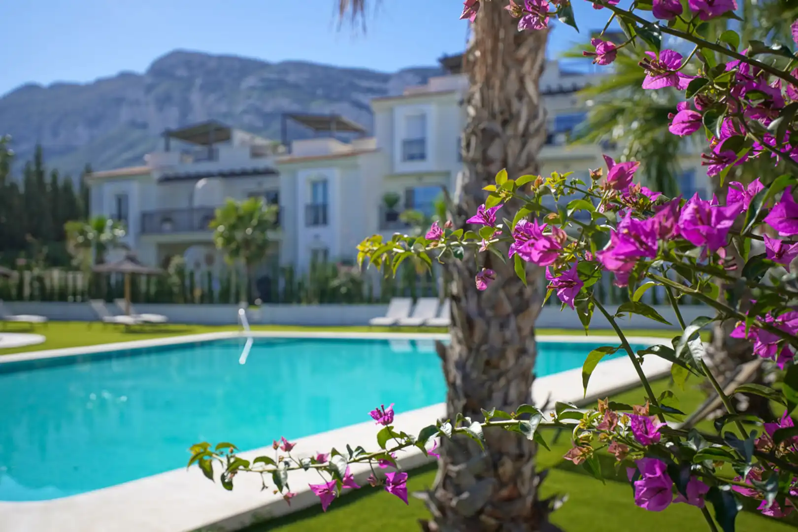 Garden of Apartments for sale in Dénia