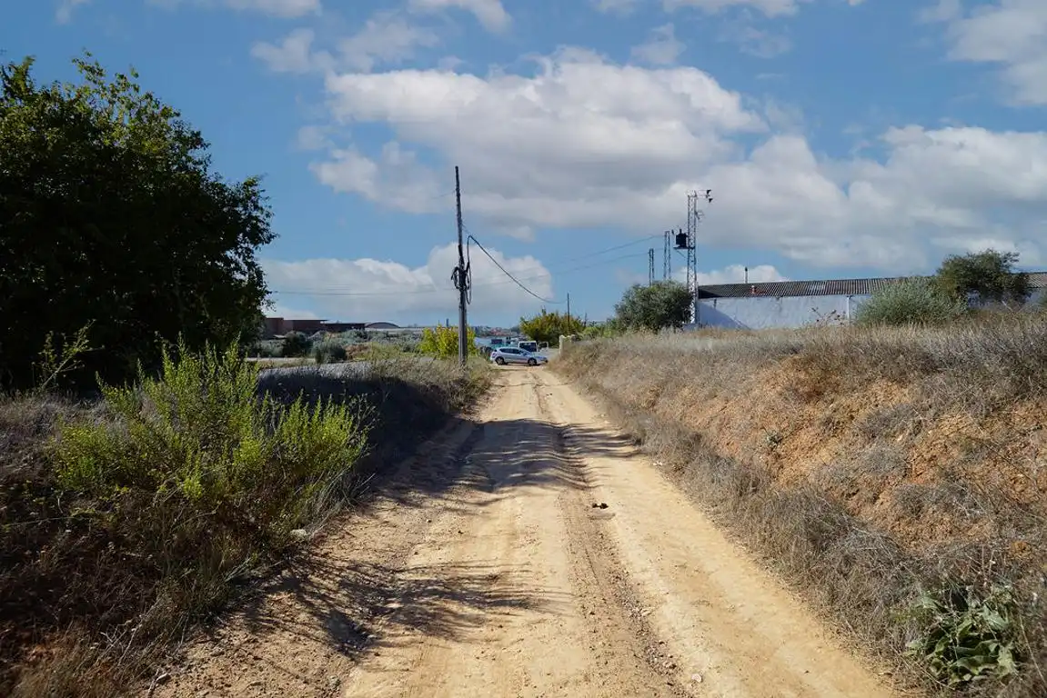 Terreni e lotti in vendita a Bailén, imagen 12