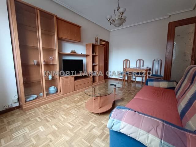 Apartamento en Alquiler en Avenida de la Paz en San Millán - Ayuntamiento