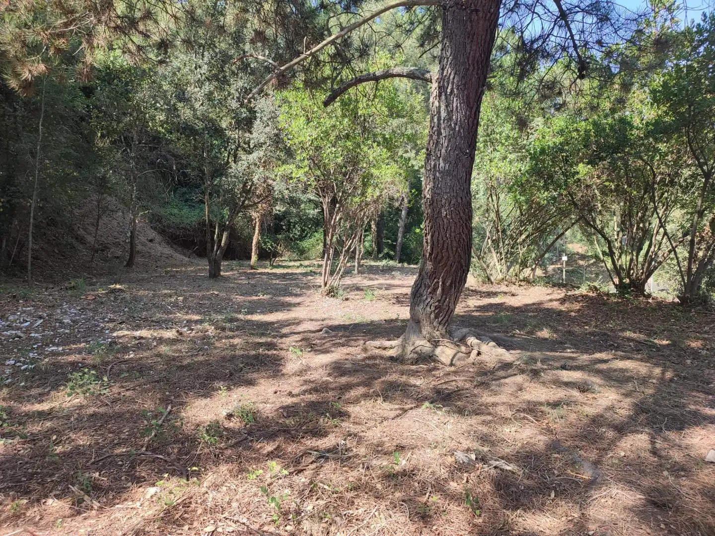 Residencial en venta en Vallgorguina