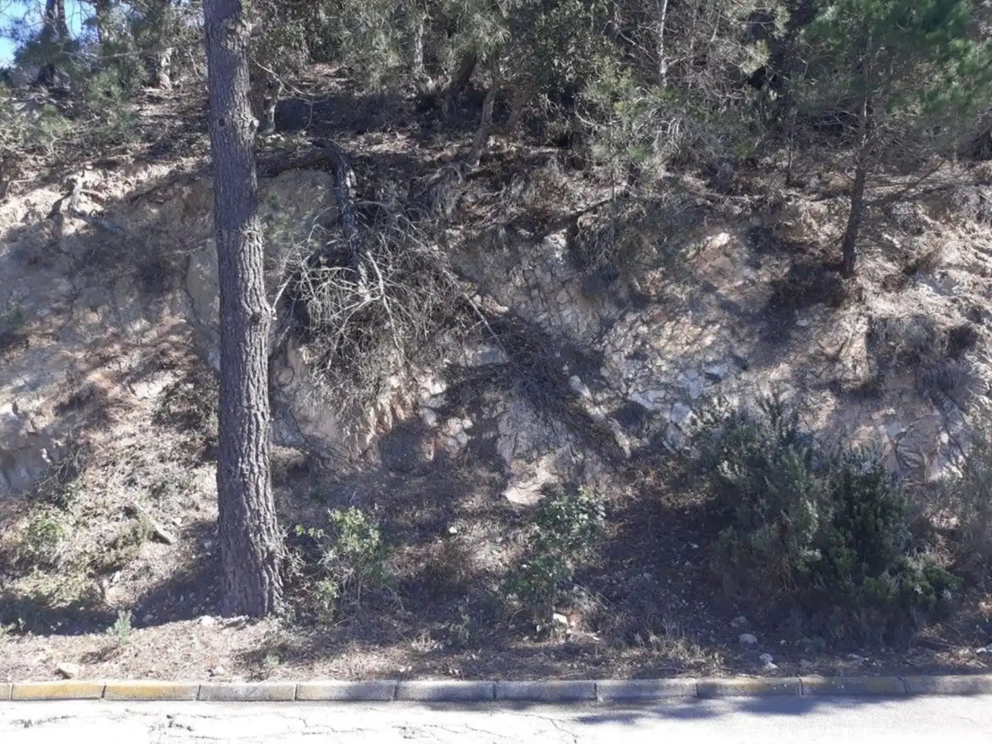 Grundstücke und Bauplätze zum Verkauf in Serra Brava, imagen 6