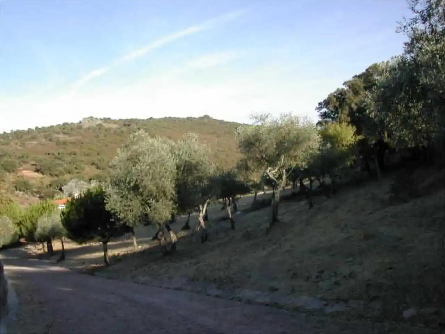 Casa o xalet en venda en Cáceres Capital