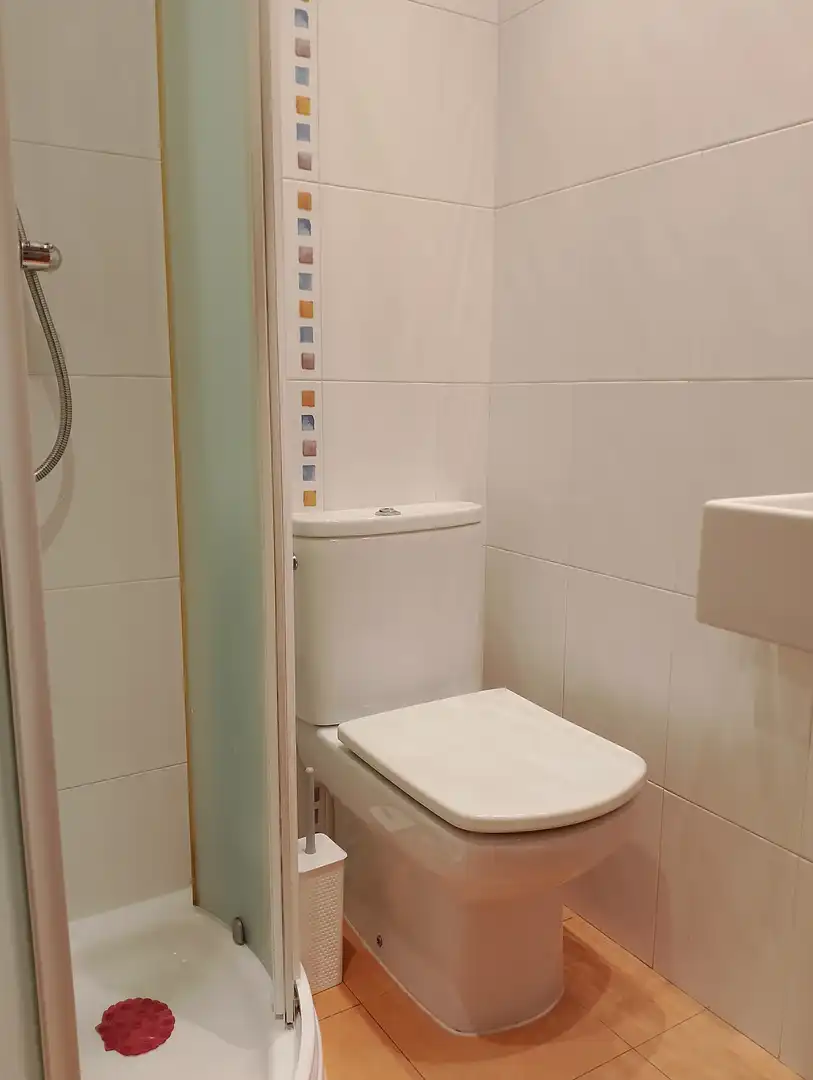 Flat for rent in Gipuzkoa - Alto de los Robles, 11, Loiola