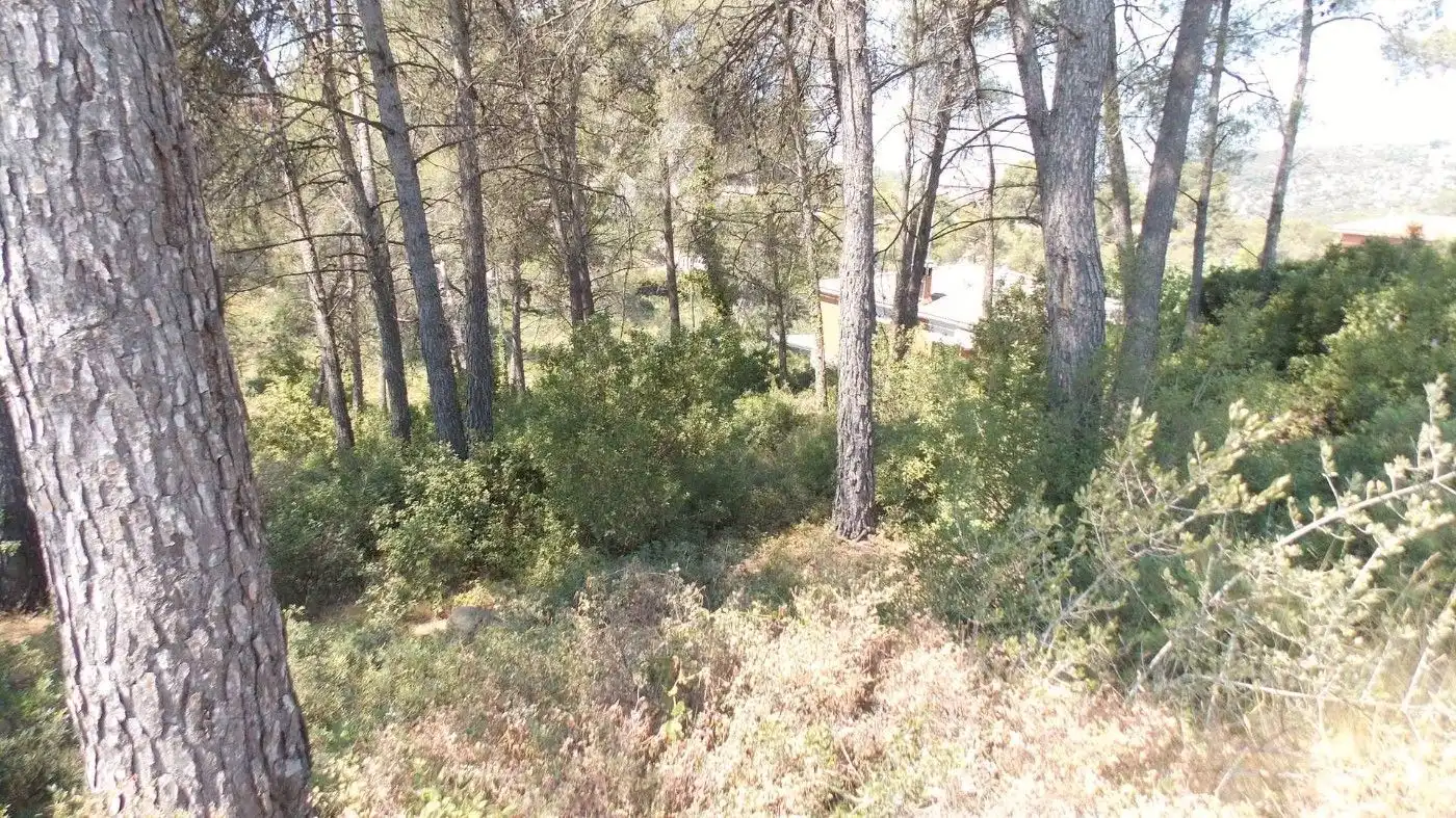 Terreny residencial en venda a Vallirana, imagen 6