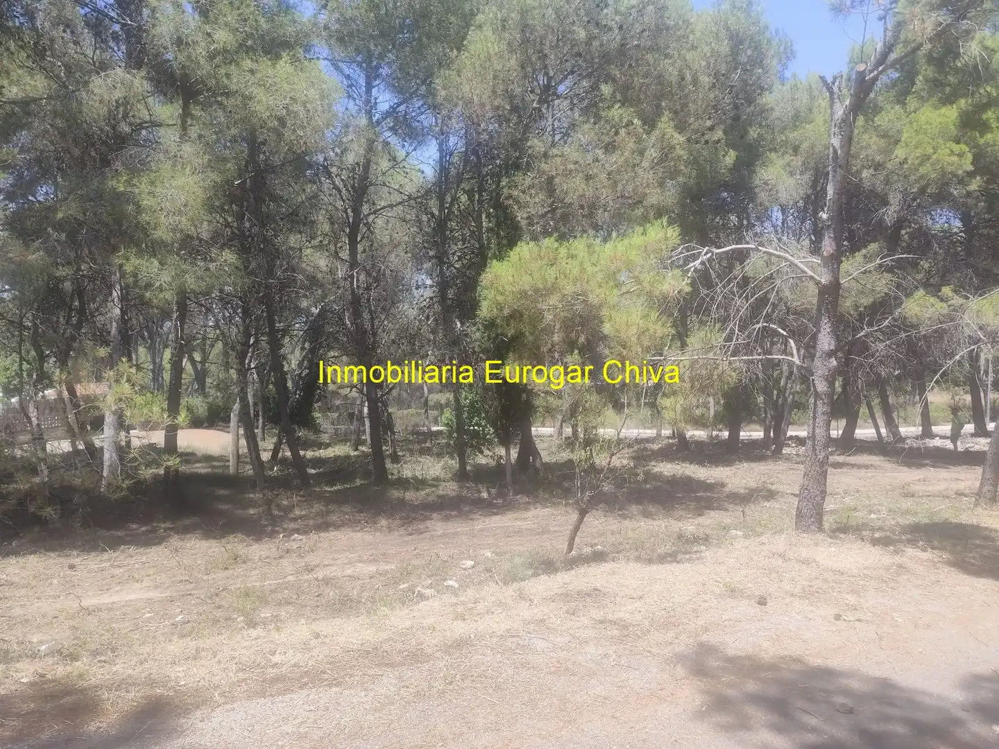 Terreno rústico en venta en Godelleta, imagen 3