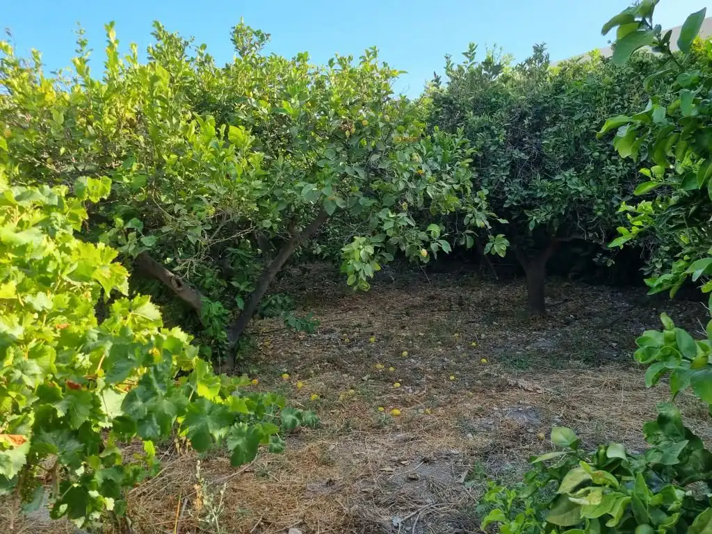 Casa o chalet en venta en Alhama de Almería con Jardín privado, Terraza y Piscina