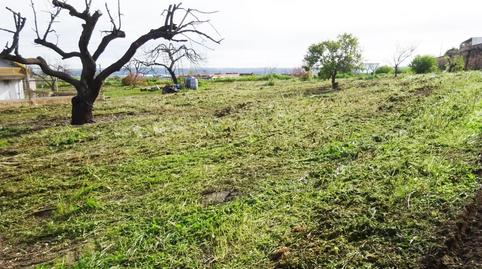 Foto 5 de Residencial en venta en Calle Manuel Álvarez Romero, Huévar del Aljarafe, Sevilla