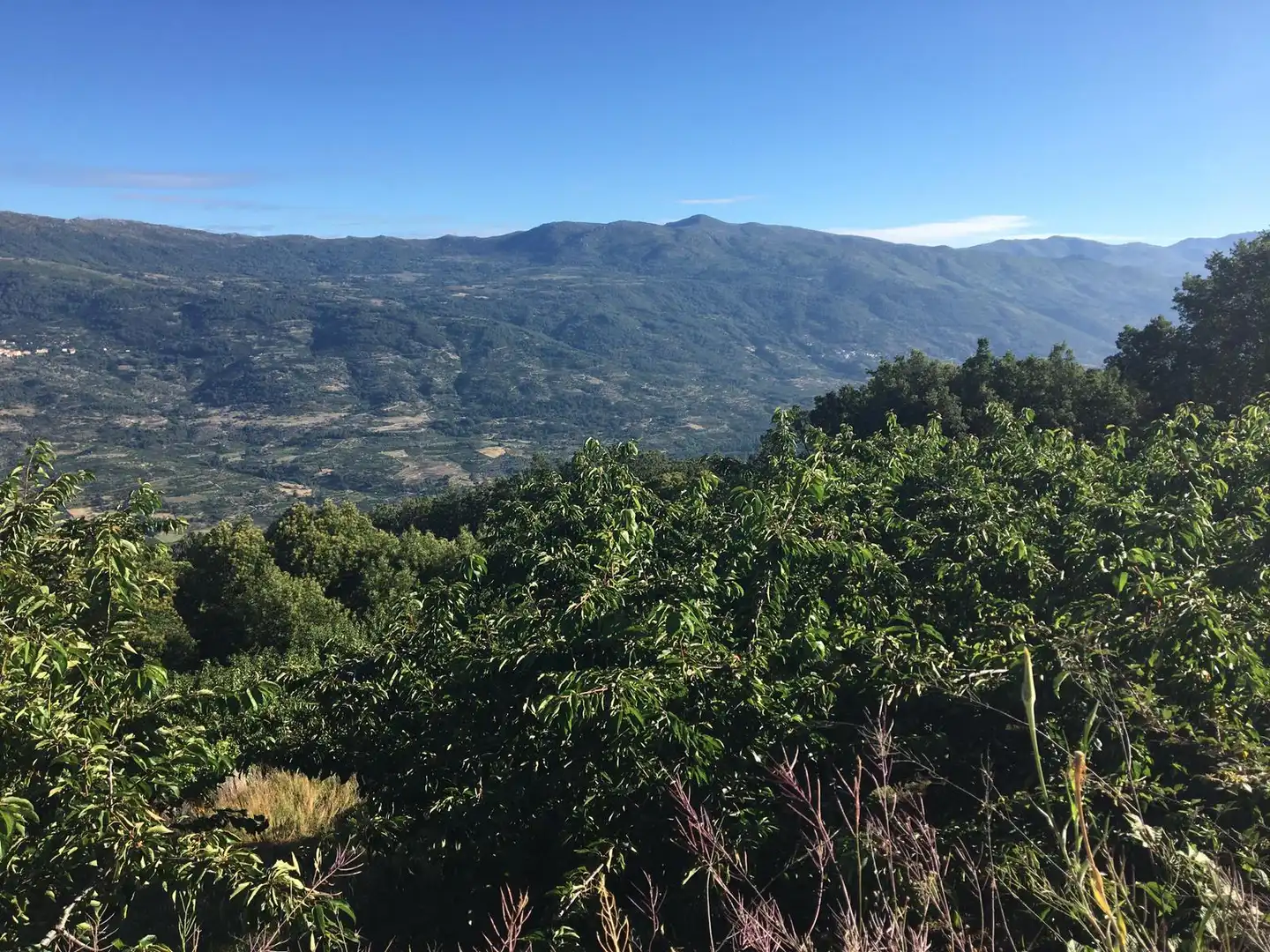 Terreni e lotti in vendita a Casas del Castañar, imagen 9