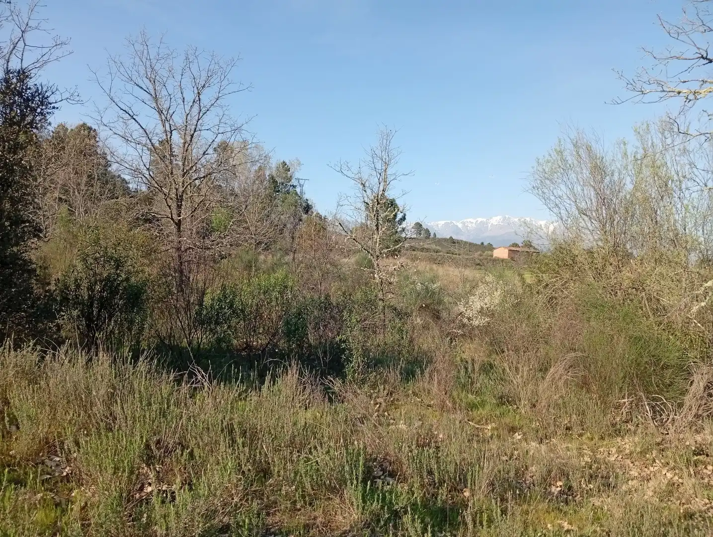 Terreni e lotti in vendita a Villanueva de la Vera, imagen 107