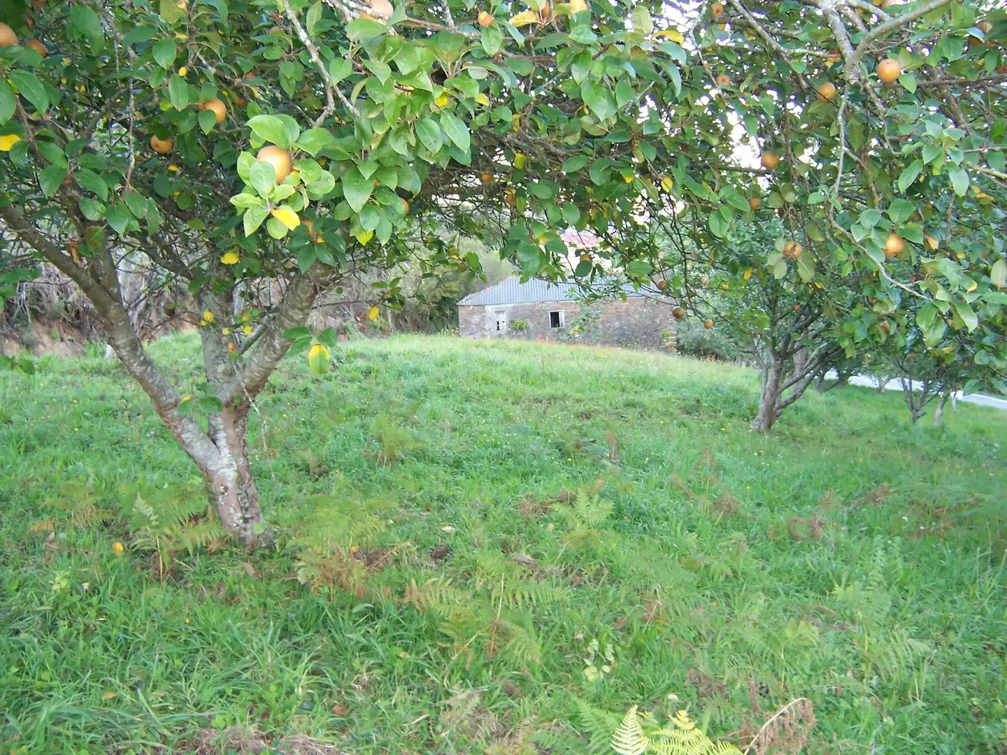 Casa amb jardí en venda a Lugar Ortigueira 2