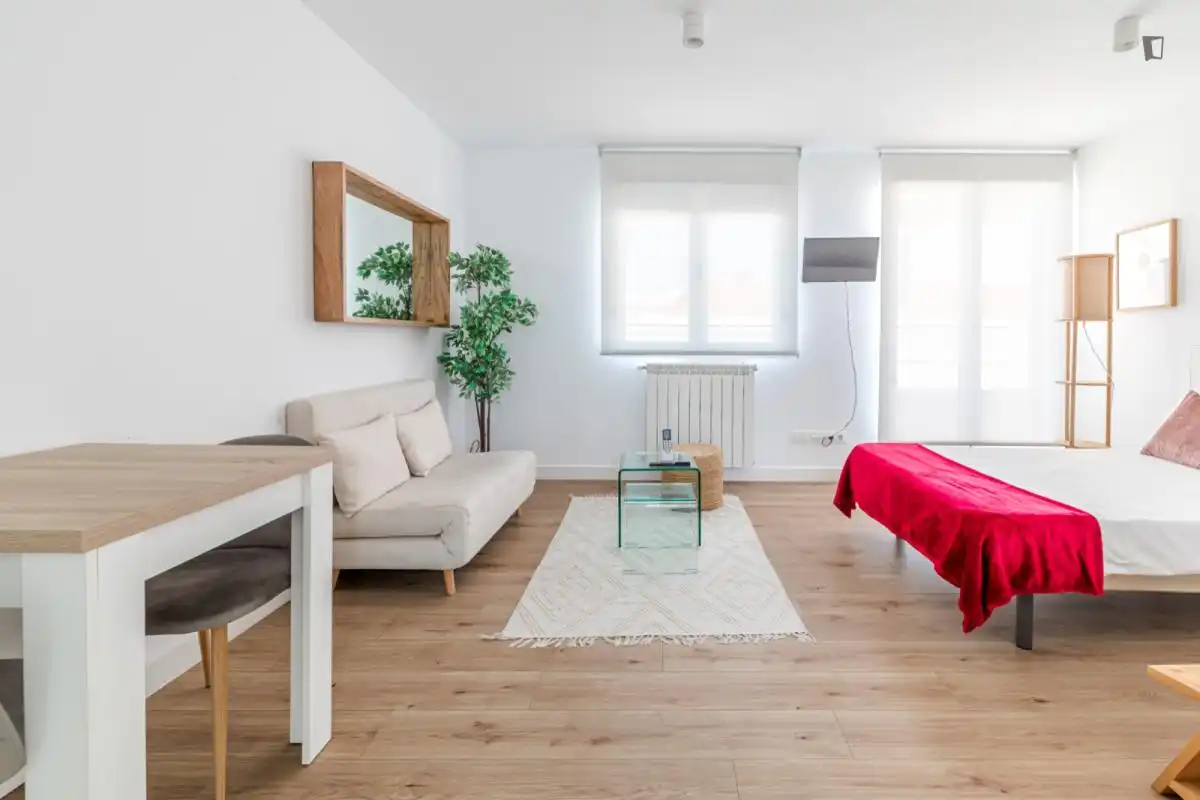 Sala de estar de Estudio de alquiler en Madrid con Aire acondicionado, Amueblado y Horno