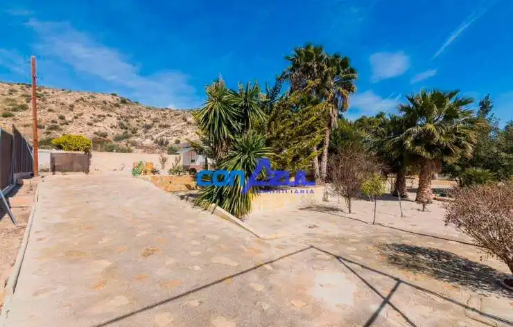 Vista exterior de Casa o xalet en venda en Elche / Elx amb Jardí privat, Terrassa i Piscina