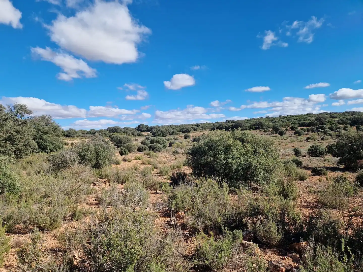 Rural land for sale in Pantano de Peñarroya 0, imagen 53