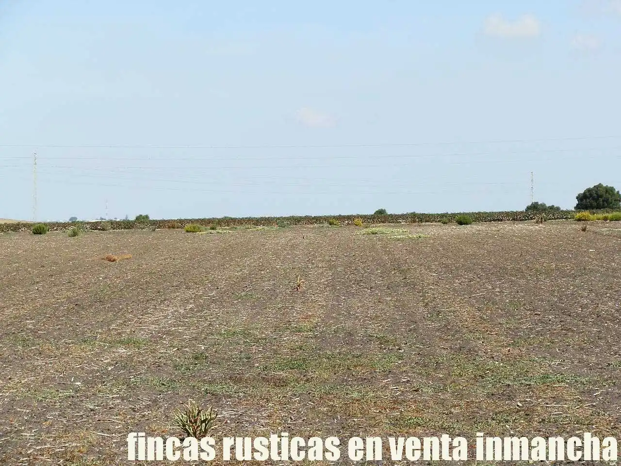 Rural land for sale in Virgen del Mar