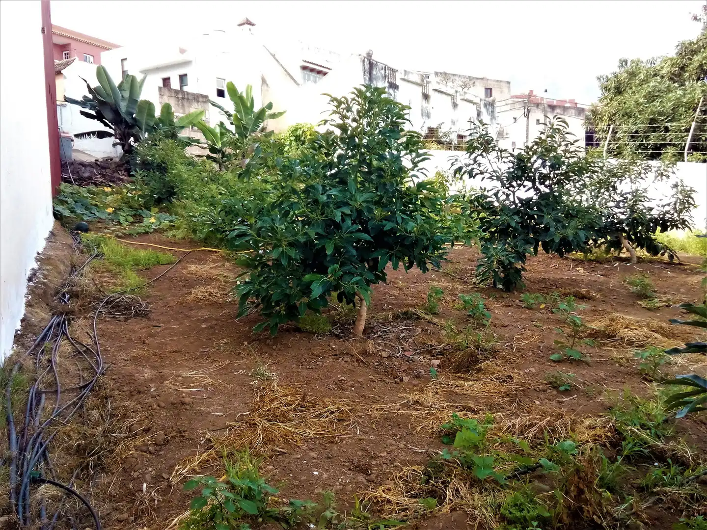 Houses for sale in Los Realejos  with Private garden, Terrace and Storage room