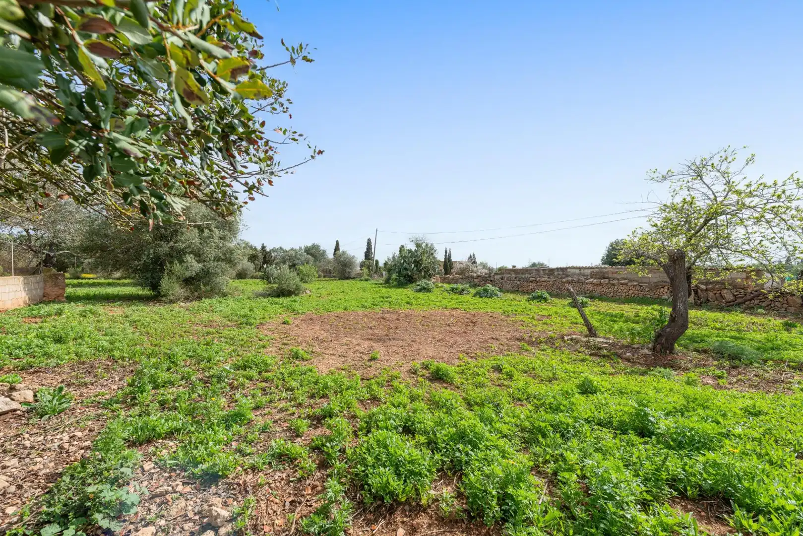 Casa o chalet en venta en Llucmajor con Jardín privado y Trastero