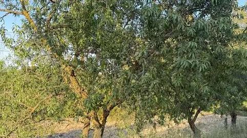 Foto 2 de Casa o xalet en venda a La Fatarella, Tarragona