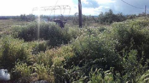 Photo 5 of Residential for sale in Pedro Donaire, 1f, Villanueva del Río y Minas, Sevilla