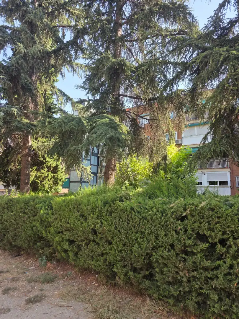 Außenansicht von Wohnung zum Verkauf in Madrid mit Heizung, Terrasse und Abstellraum