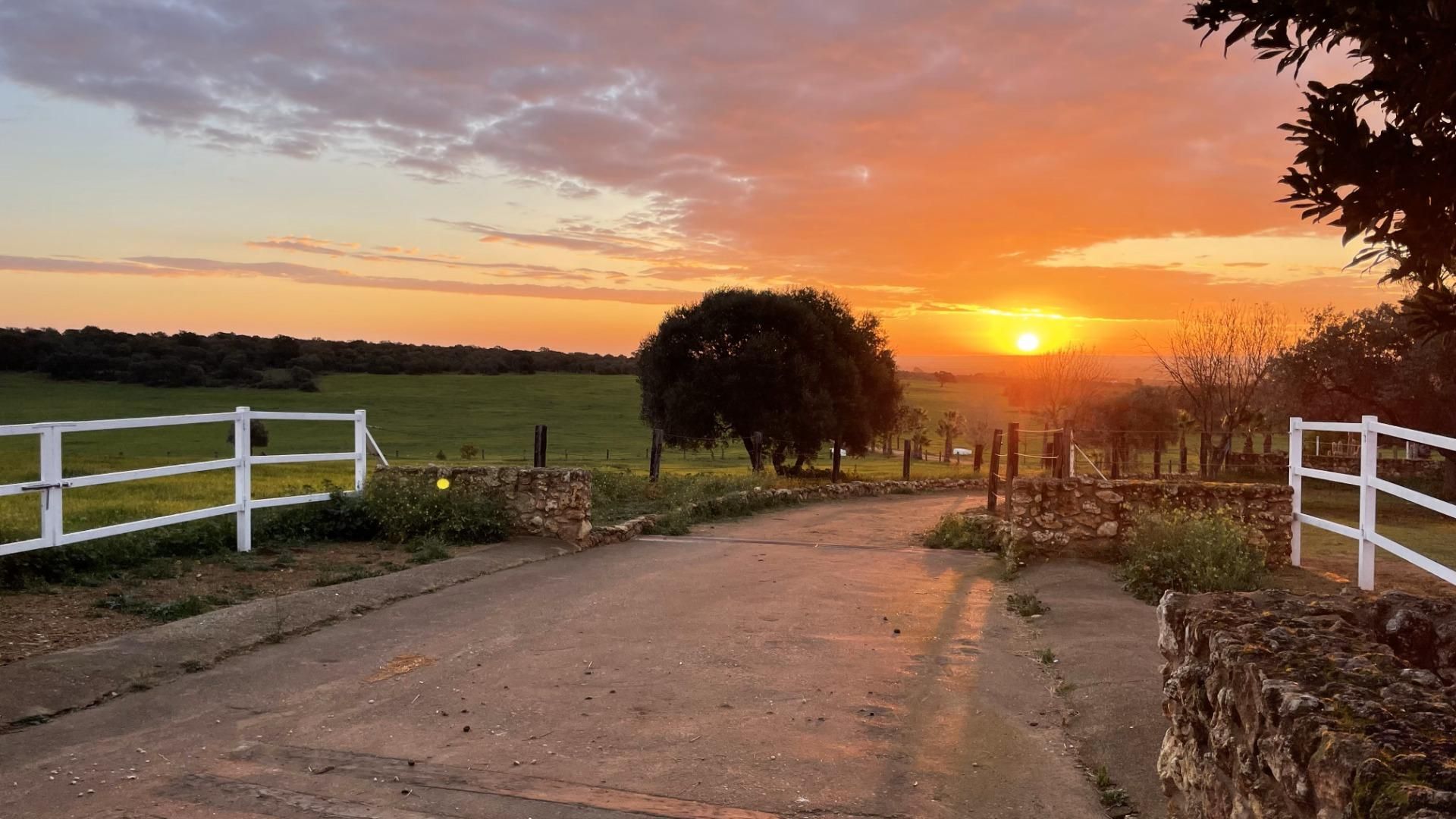 Vista exterior de Finca rústica en venda en Paterna del Campo amb Aire condicionat, Calefacció i Jardí privat
