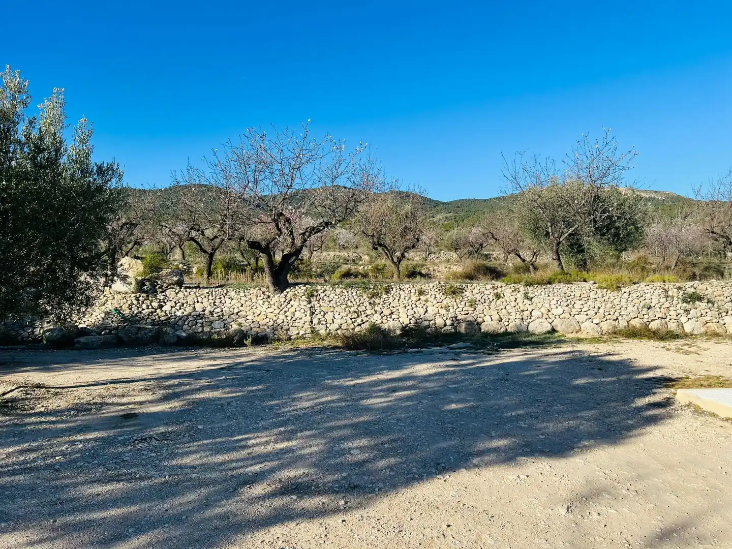Villa con giardino in vendita a Carrer Cervantes 71, imagen 37