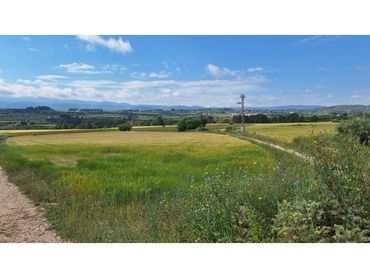 Terreno rustico in vendita a Galim
