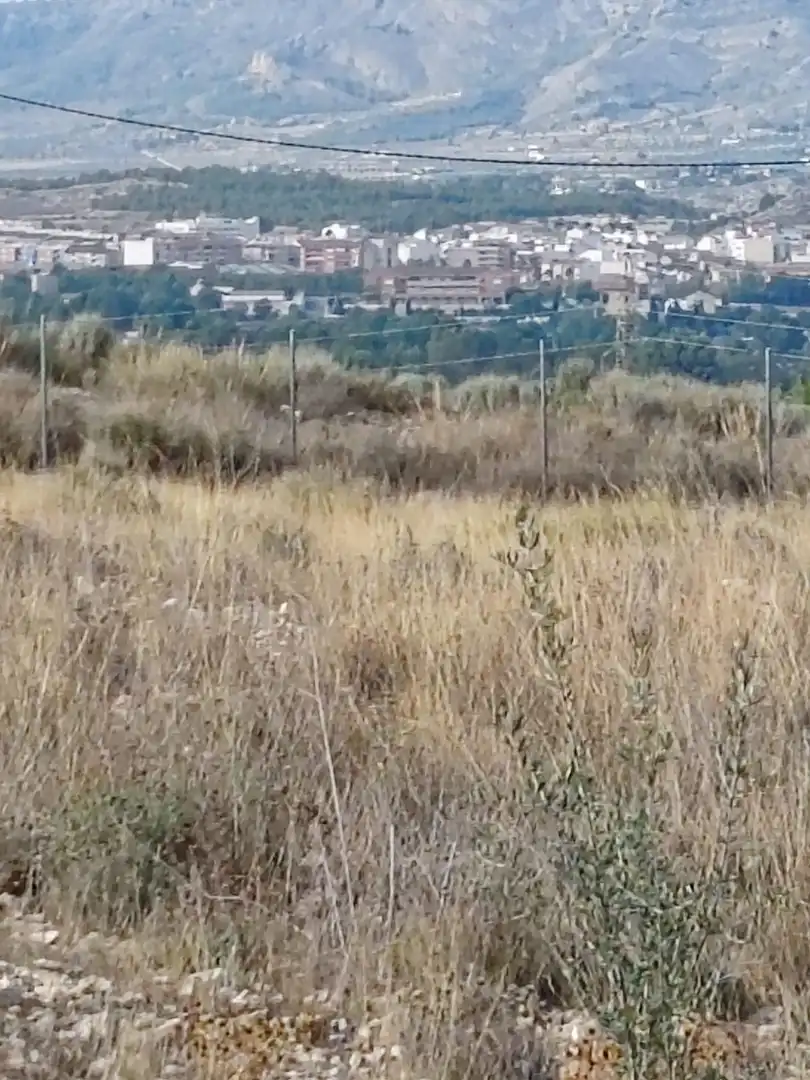Terreno rustico in vendita a San Crispín - Huerta Nueva-Estación, imagen 13