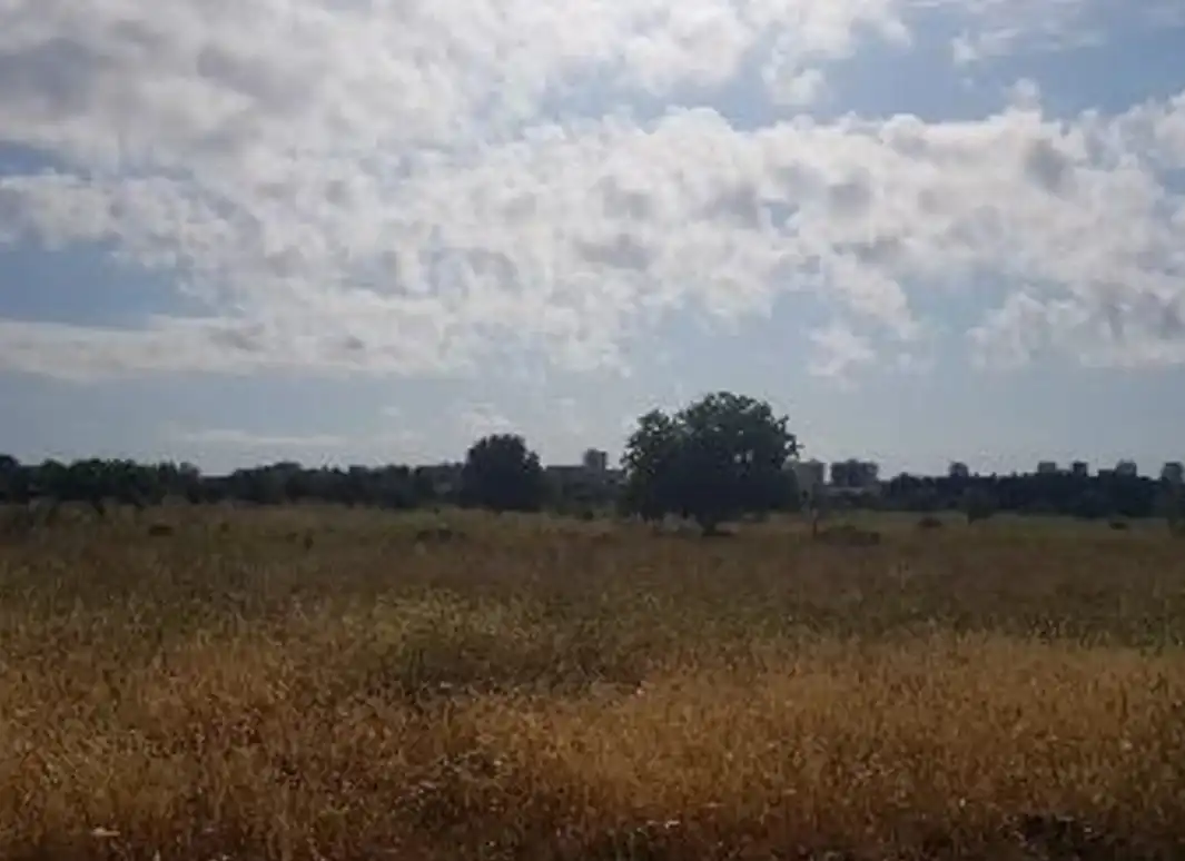 Residential land for sale in Pueblo, imagen 6