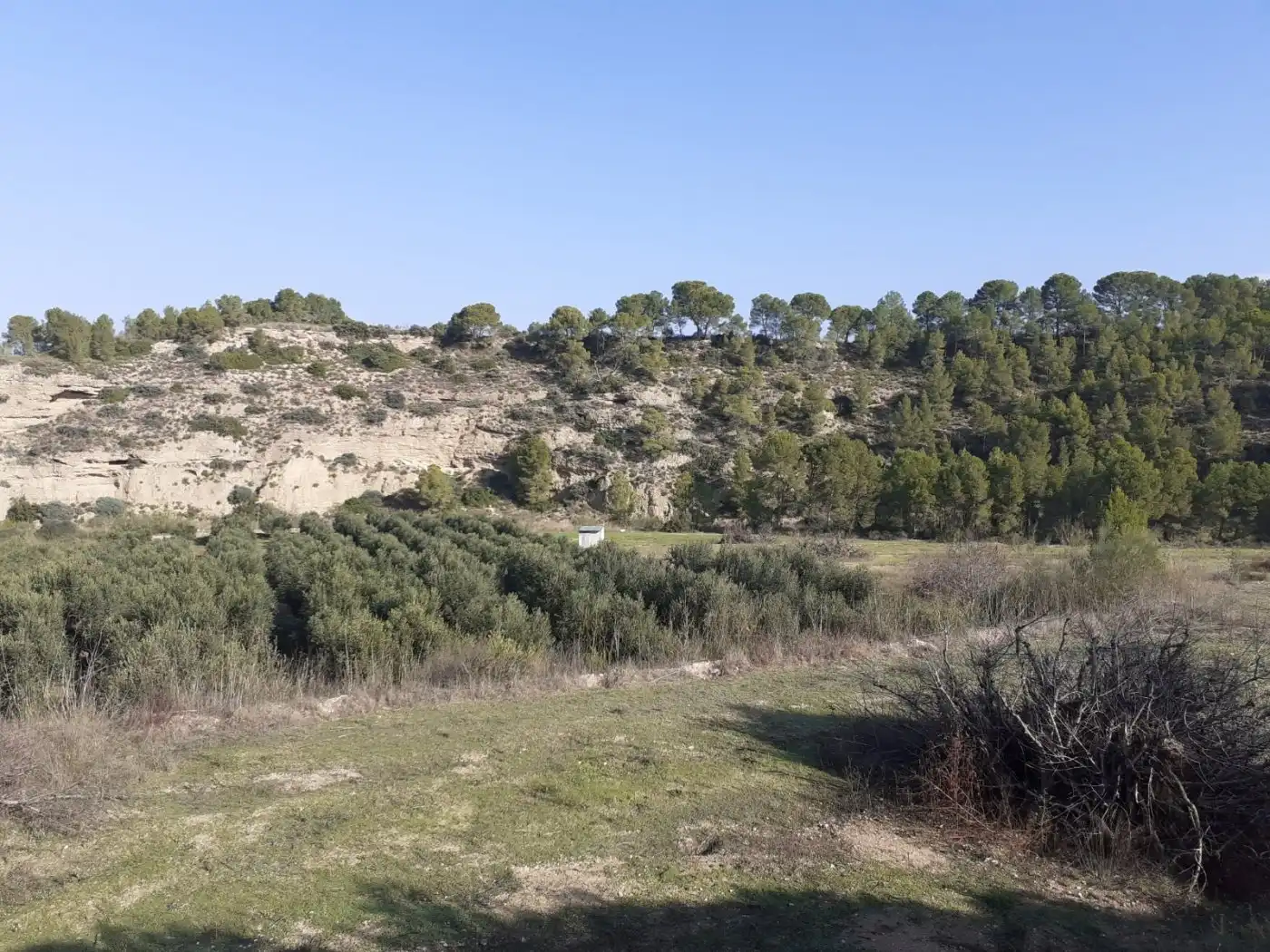 Finca rústica en venda en Ginestar