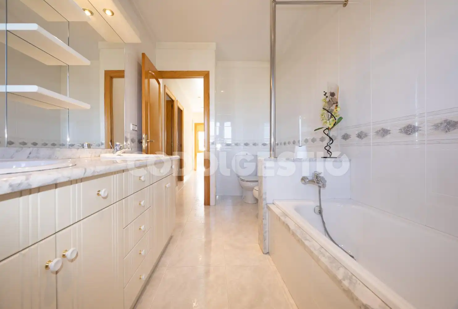 Haus oder Chalet zum Verkauf in Roma, Manlleu