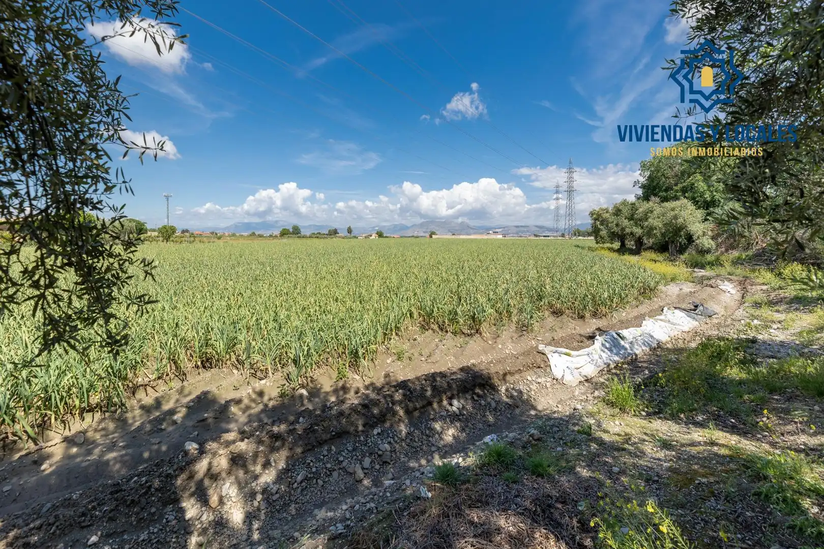 Terreni e lotti in vendita a Ramal del Río, imagen 17