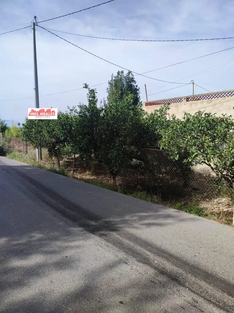 Terreny rústic en venda a Dolores, imagen 19