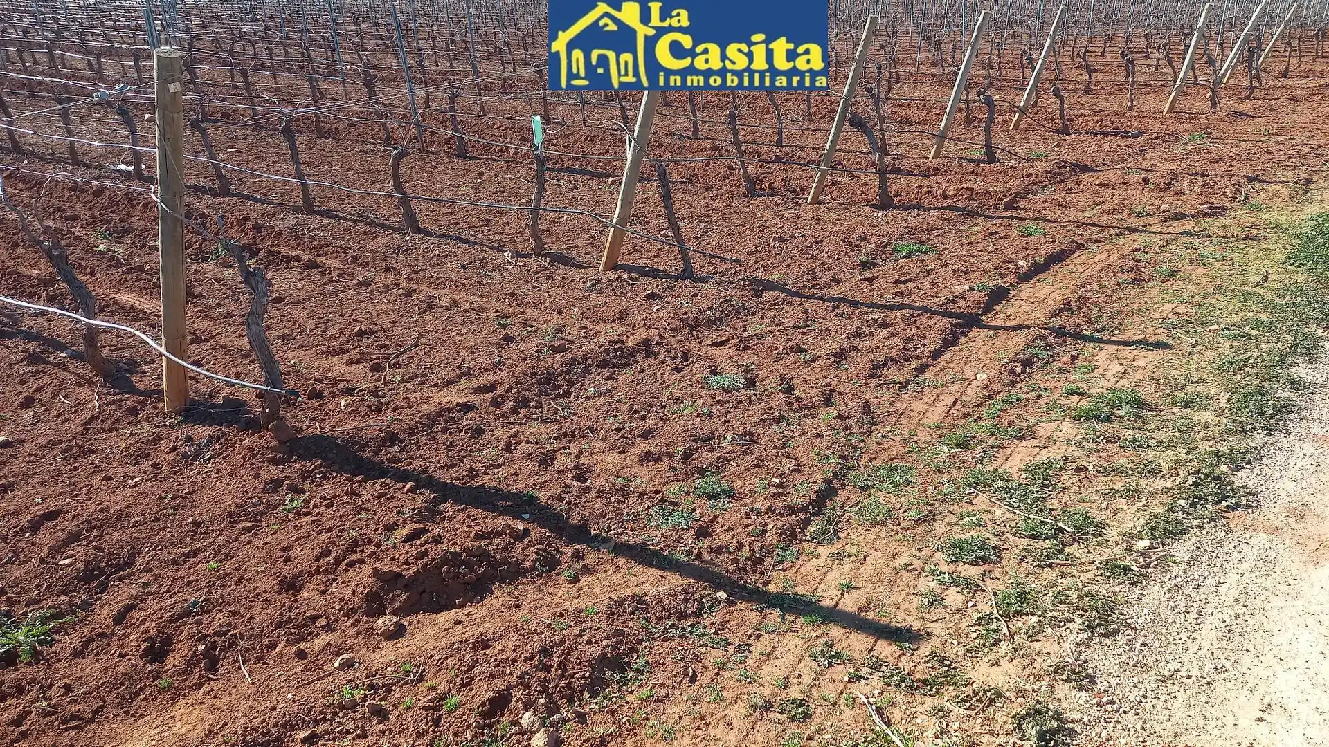 Terreno rústico en venta en Camino de Miguelturra, imagen 2