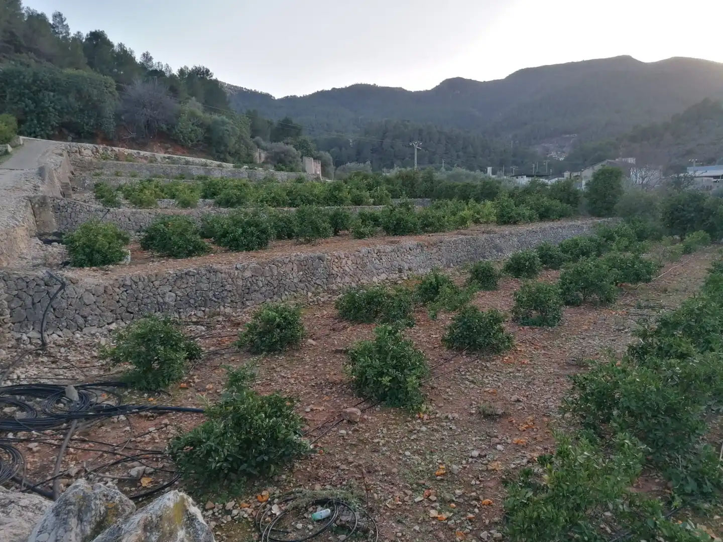Rural land for sale in Vilallonga / Villalonga, imagen 10