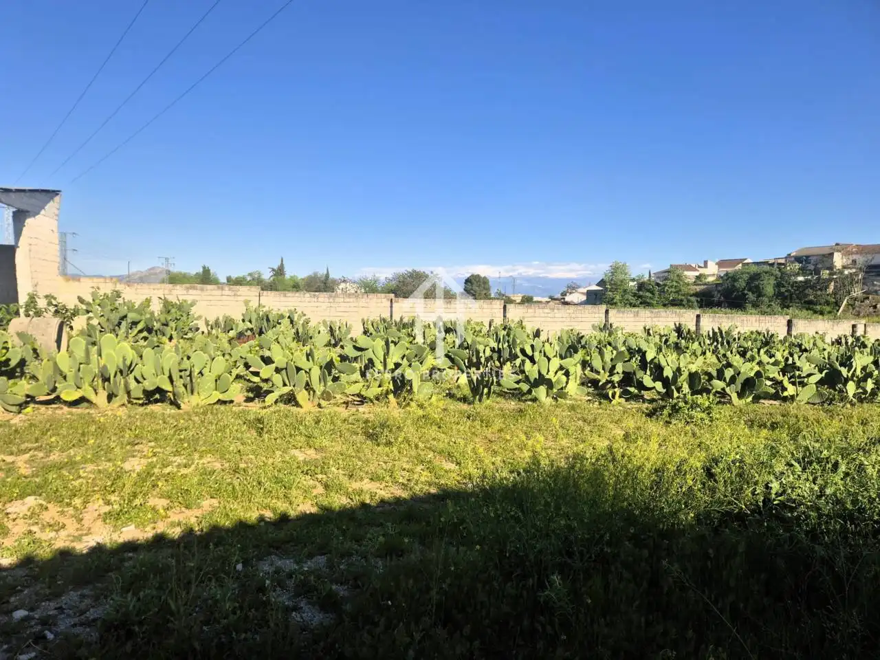 Terreny rústic en venda a Íllora, imagen 8