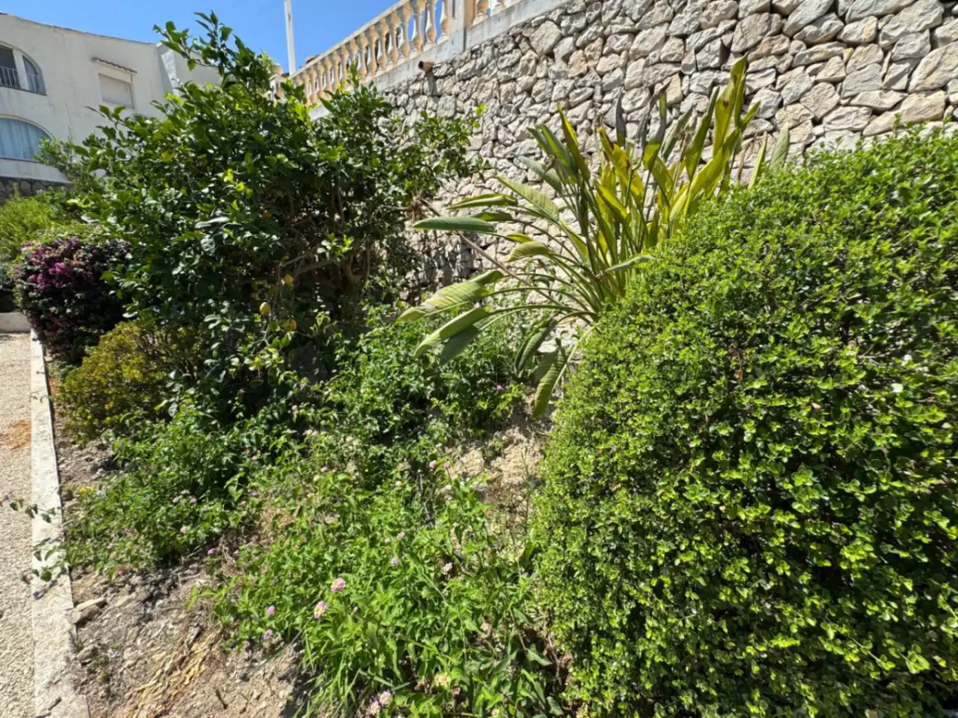 Detached house with pool for sale in Cala Advocat - Baladrar, imagen 38