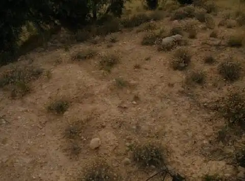 Terreni e lotti in vendita a Alhama de Granada, imagen 8