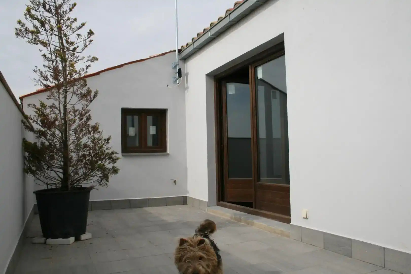 Terrassa de Casa o xalet en venda en Sant Ramon amb Balcó
